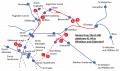 Thumbnail for version as of 23:33, 27 April 2022