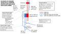 Thumbnail for version as of 19:04, 15 March 2023
