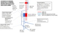 Thumbnail for version as of 20:52, 15 March 2023